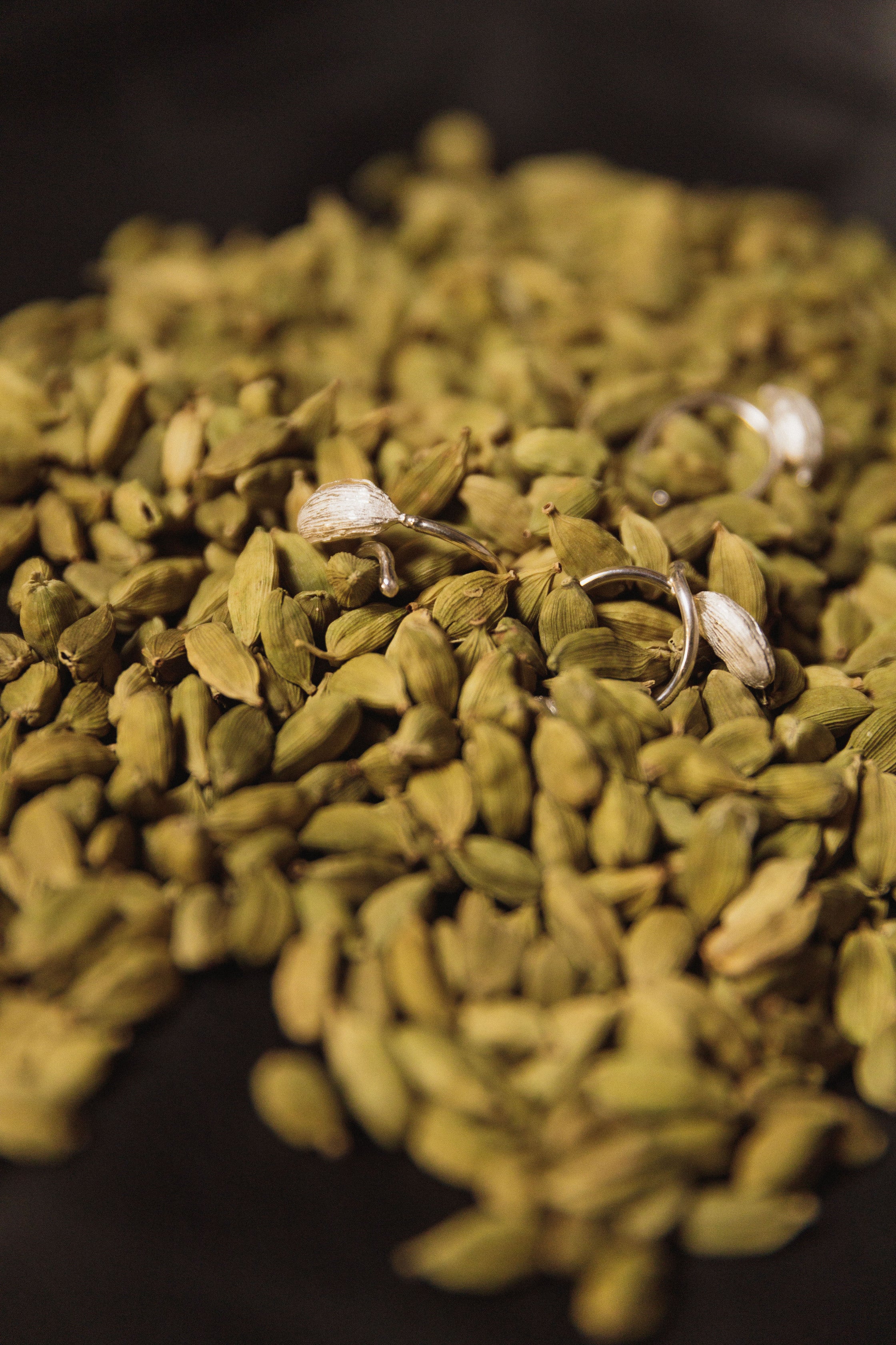 CARDAMOM